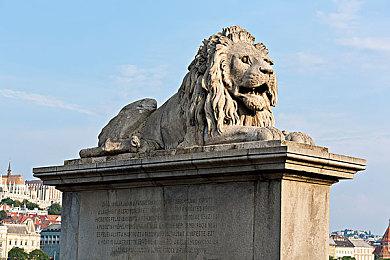 真稳了？更适合“现代宝宝”体质的超级忍，满足了期待